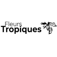 Fleurs Tropiques - Fleuriste à Mouscron 